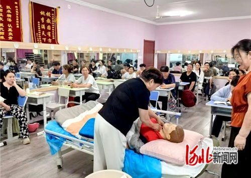 石家莊市橋西區 抓實技能培訓，賦能職工就業——市場調查服務助力就業新路徑